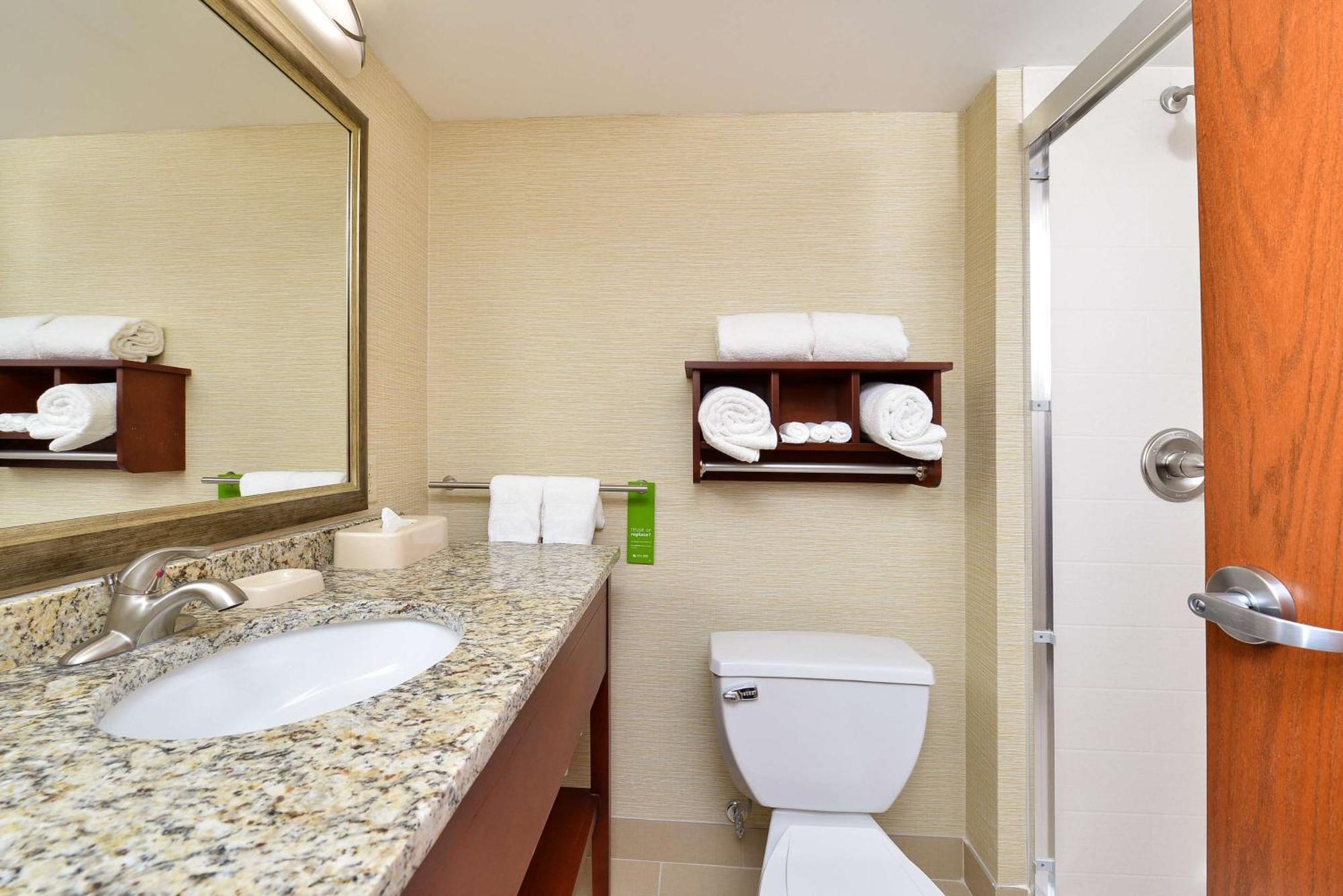 Hotel Hampton Detroit/auburn Hills South